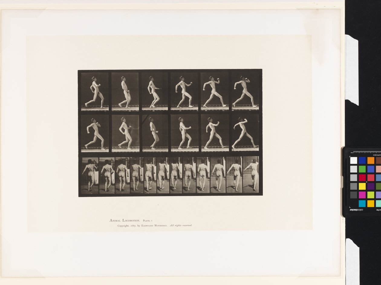 Plaka 7.Yürüyüş by Eadweard Muybridge
