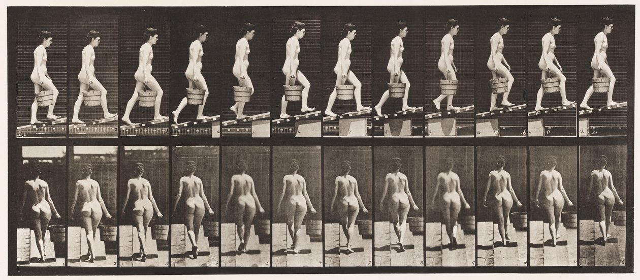Levha 83. Yükselen Eğim Sağ Elde Kova Su by Eadweard Muybridge