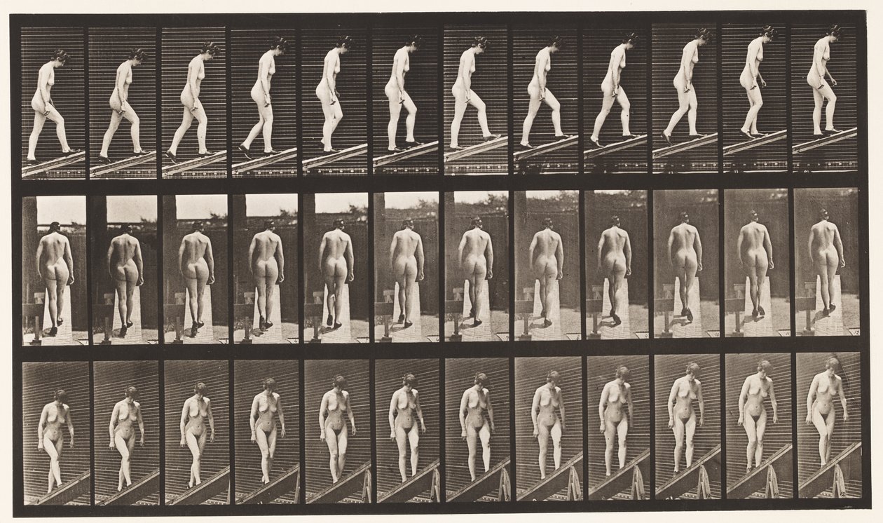 Plaka 85. Artan Eğim by Eadweard Muybridge
