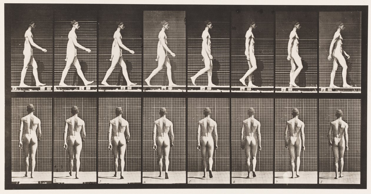 Plaka 8. Yürüyüş by Eadweard Muybridge