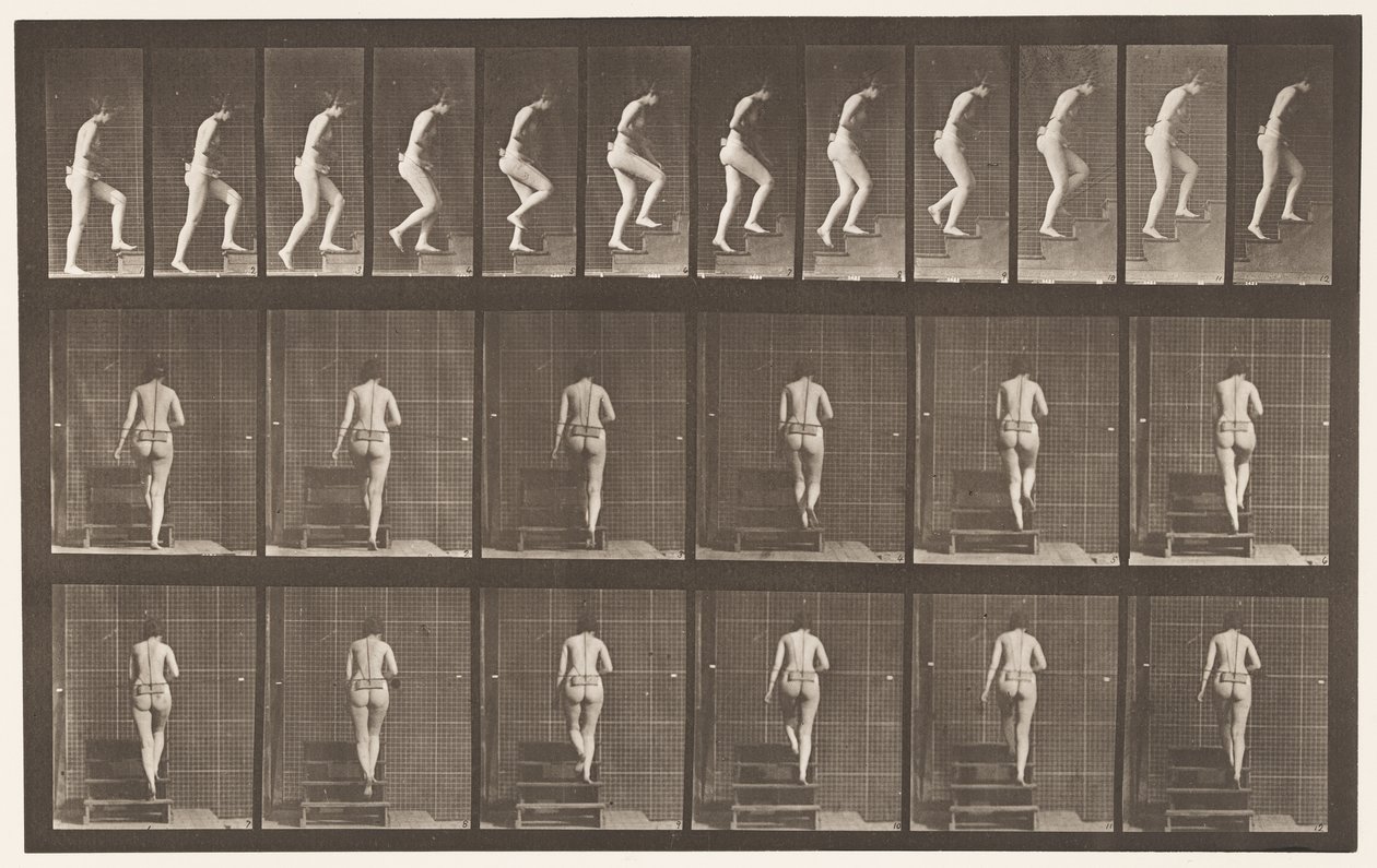 Plaka 93. Yükselen Merdivenler by Eadweard Muybridge