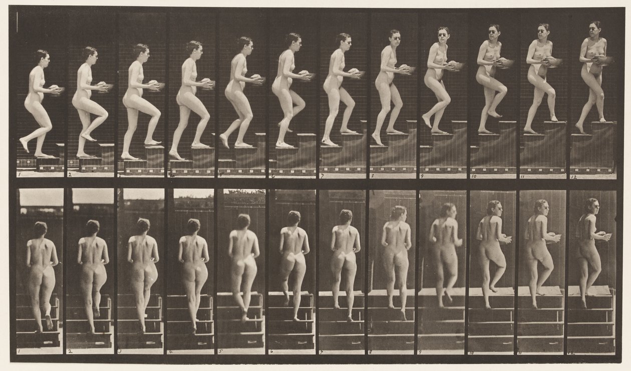 Plaka 94. Yükselen Merdivenler Etrafa Bakıyor; Ellerinde lavabo by Eadweard Muybridge