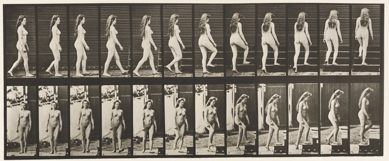 Plaka 99. Dönen ve Çıkan Merdivenler by Eadweard Muybridge