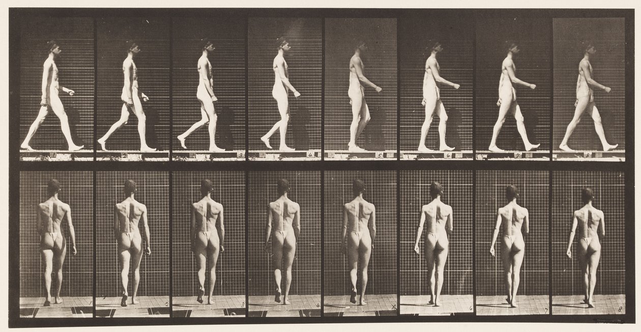Plaka 9. Yürüyüş, 1872-1885 by Eadweard Muybridge