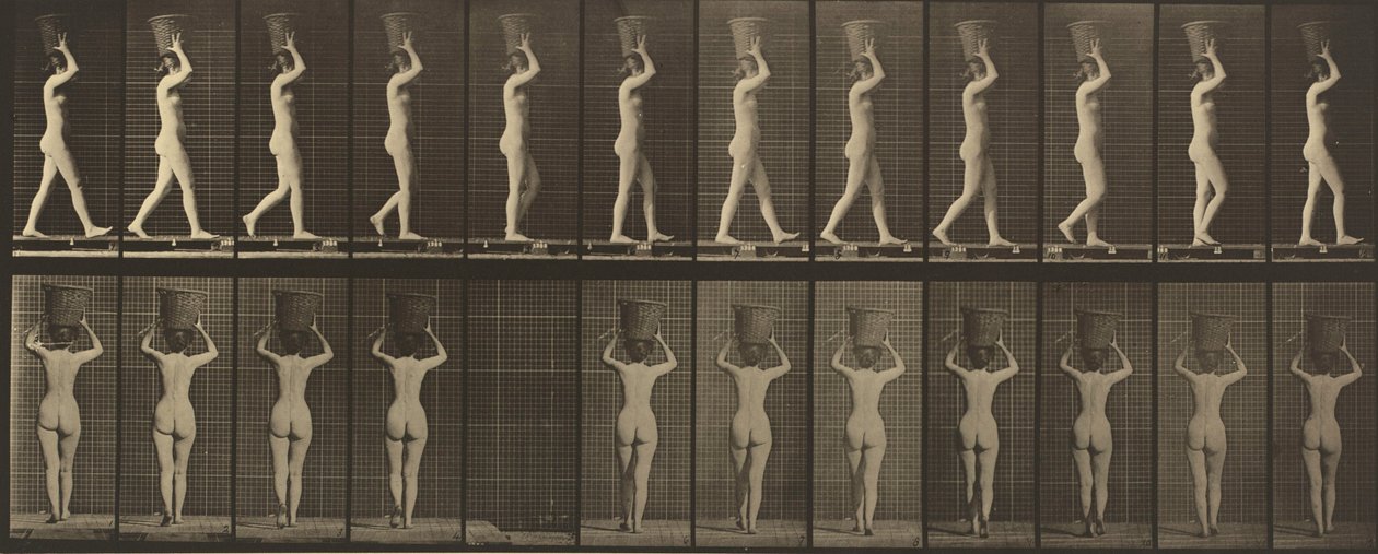  by Eadweard Muybridge