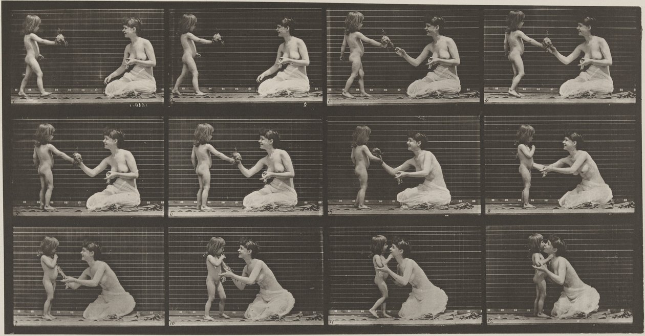  by Eadweard Muybridge