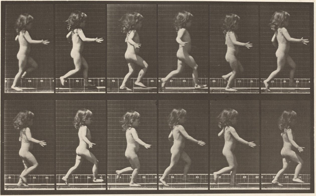  by Eadweard Muybridge