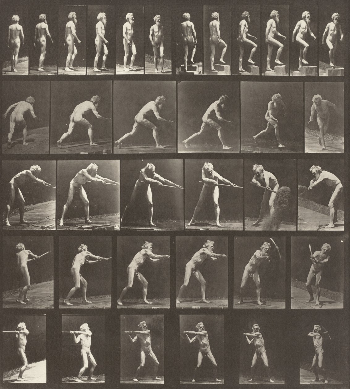 Plaka Numarası 521. A: Yürüyüş. B: Bir basamak çıkmak. C: Diski fırlatmak. D: Kürek kullanmak. E, F: Bir seçim kullanma by Eadweard Muybridge