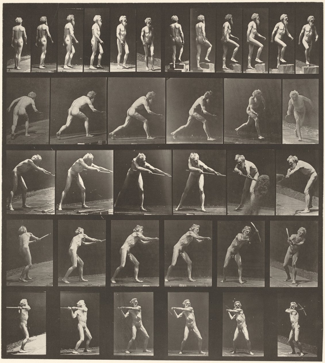  by Eadweard Muybridge
