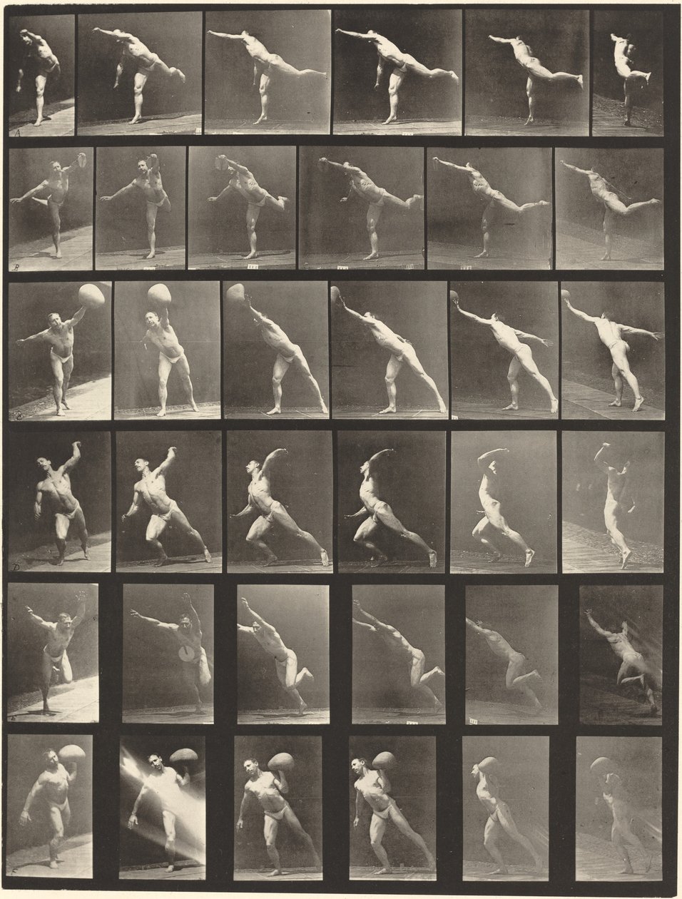 Plaka Numarası 523. A: Bir darbe vurmak. B, E: Disk atma. C, F: 75 librelik bir ağırlık kaldırma. taş. D: Top atmak by Eadweard Muybridge