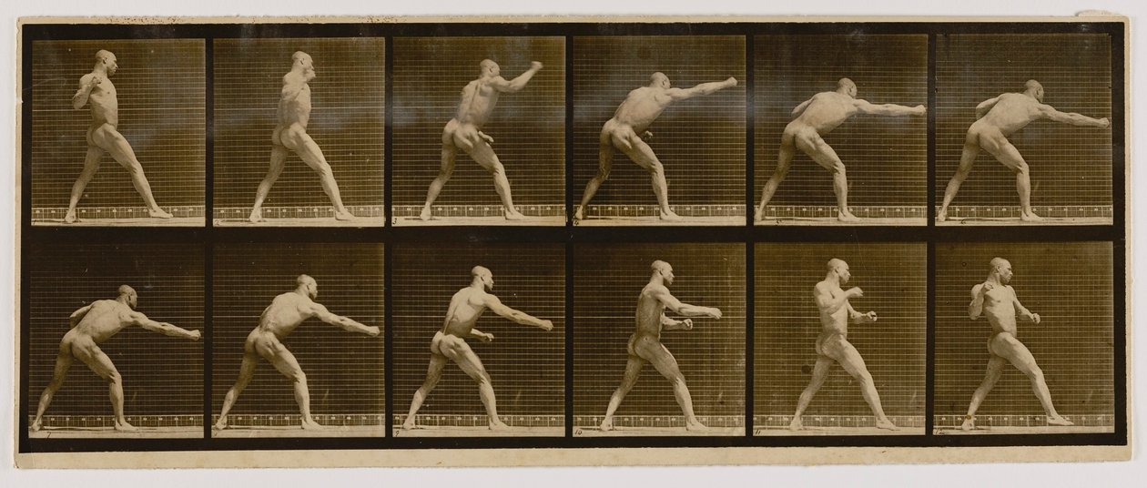  by Eadweard Muybridge