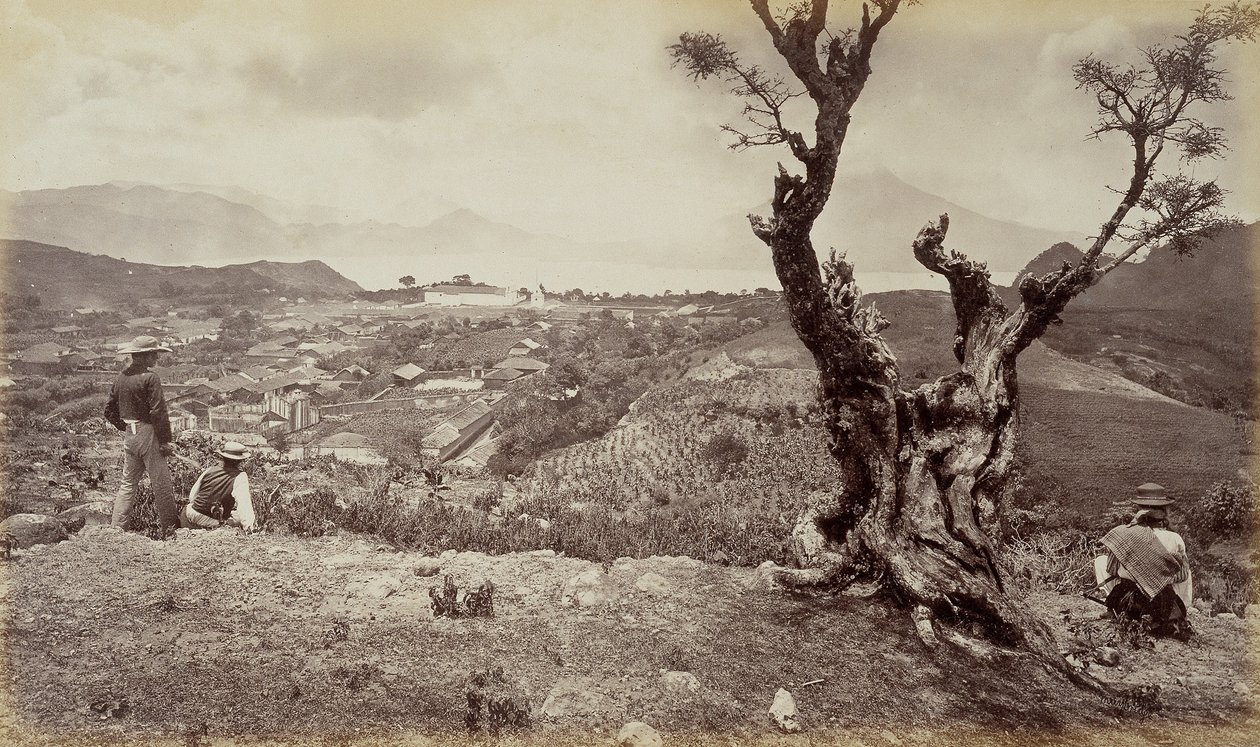  by Eadweard Muybridge