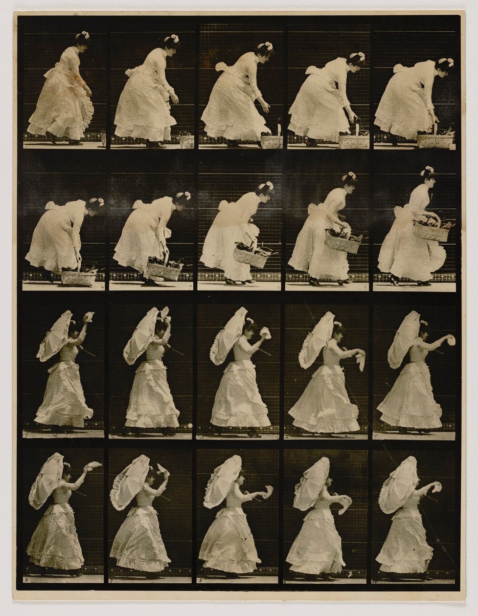  by Eadweard Muybridge