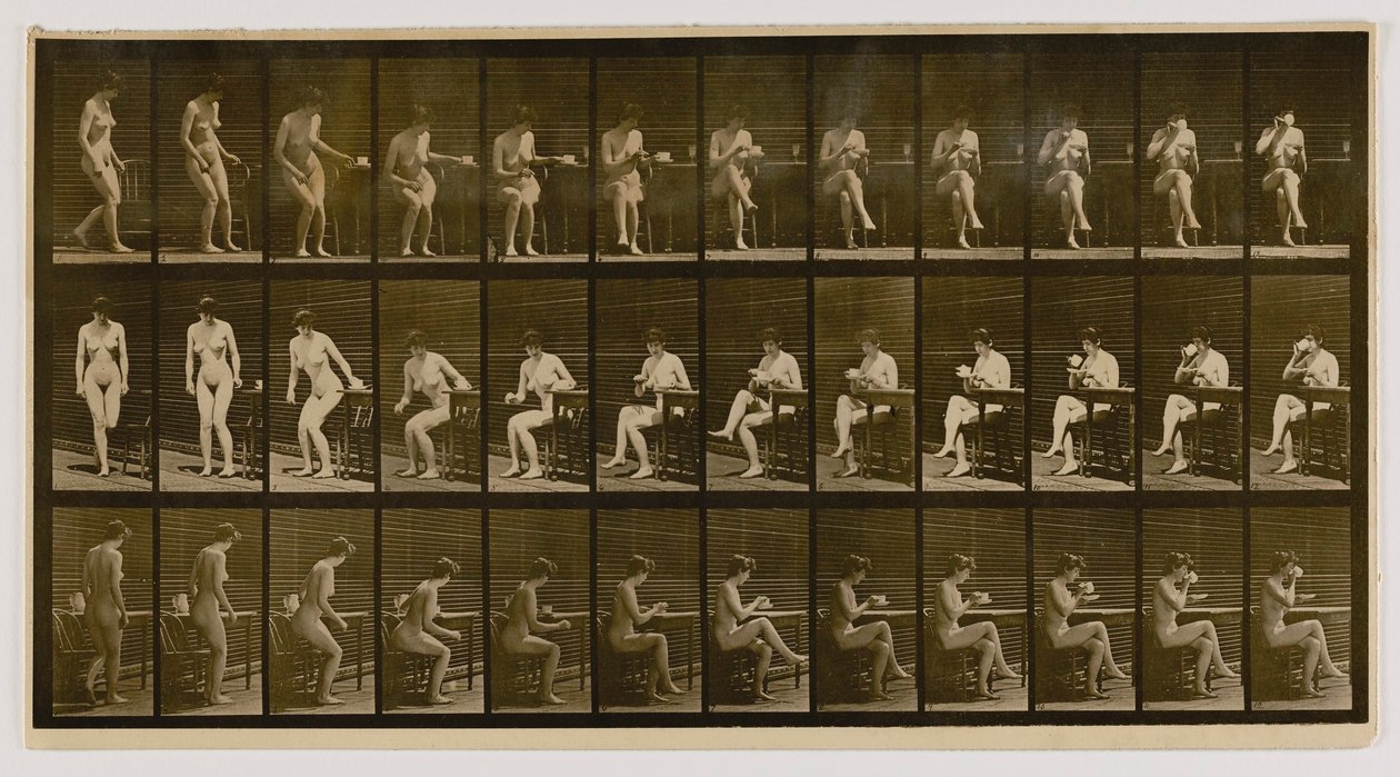  by Eadweard Muybridge