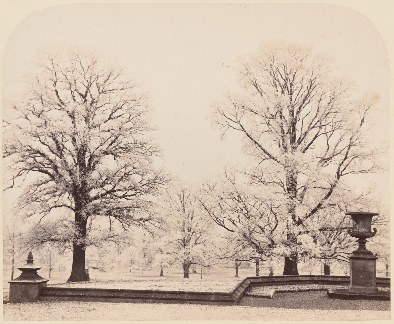 Hoarfrost, Bir Park Sahnesi by Earl of Caithness