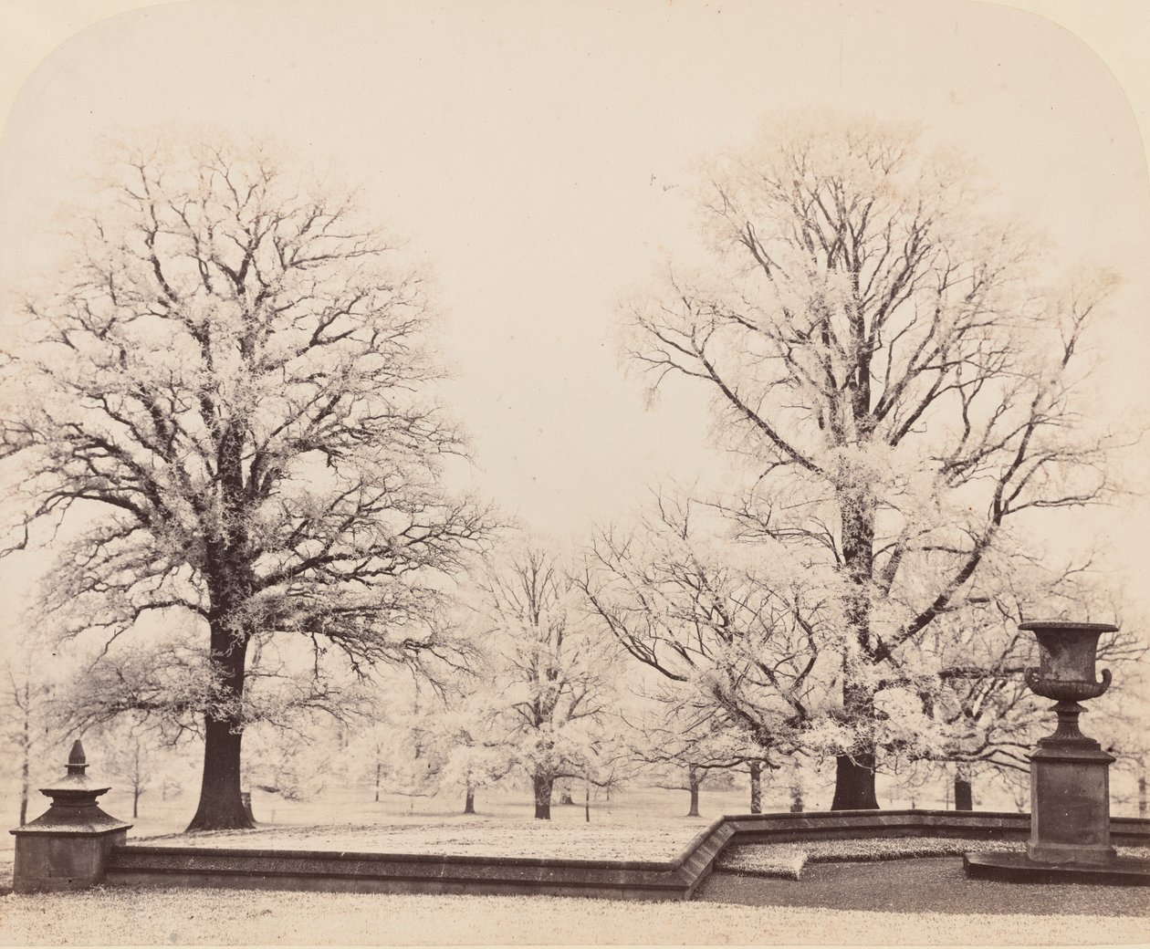 Hoarfrost, Bir Park Sahnesi, 1862. by Earl of Caithness James Sinclair