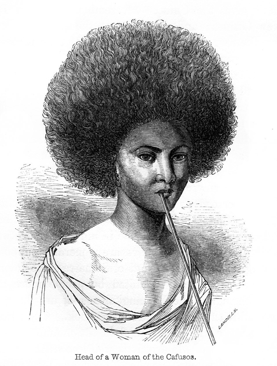 Cafusoslu Bir Kadının Başı, 1848. by Ebenezer Landells