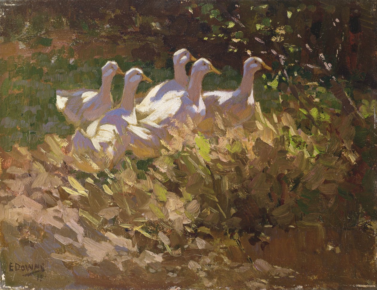 Maceracılar by Edgar Downs