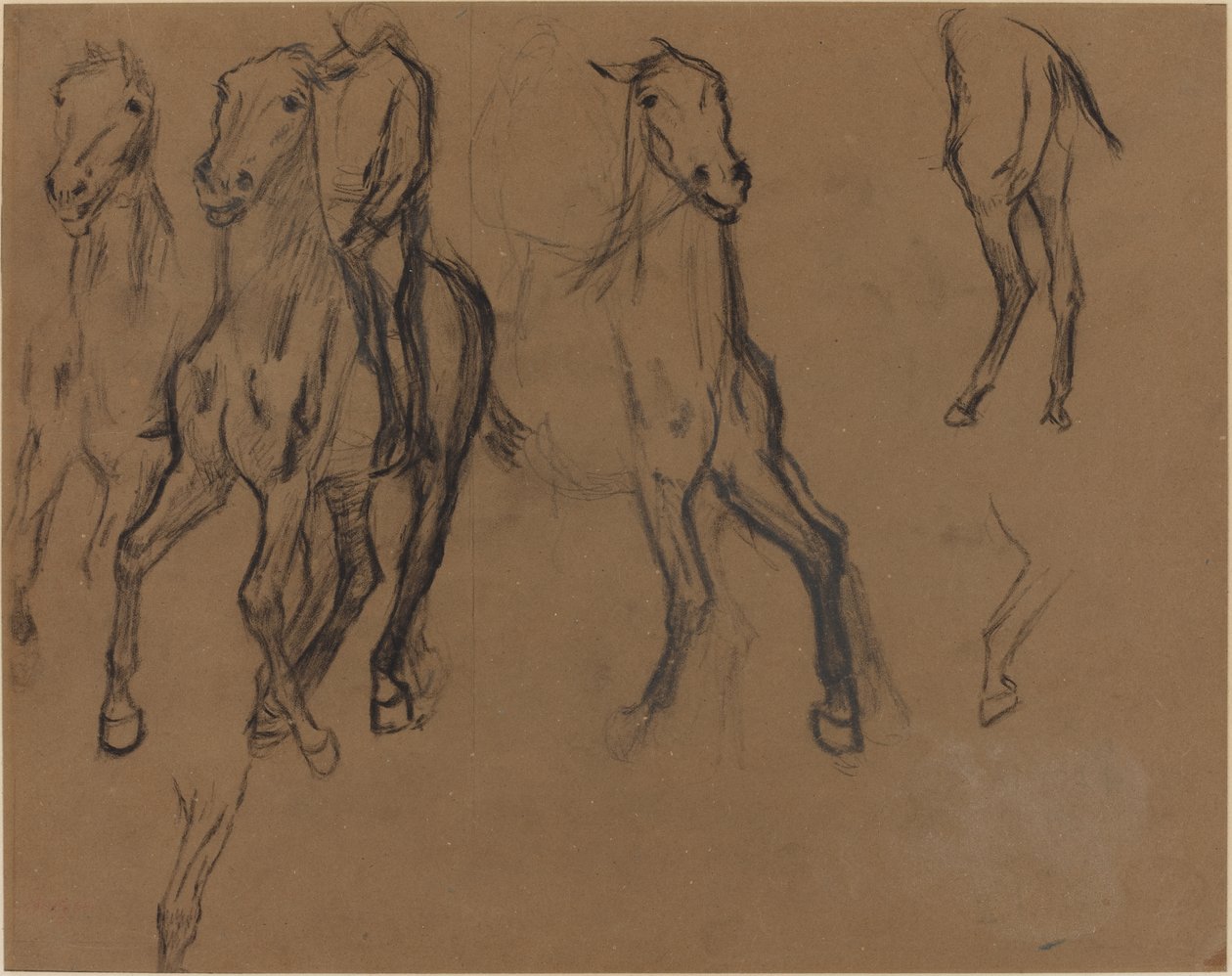 Atların Çalışması, c.1886 (kahverengi kağıt üzerinde kömür ve grafit) by Edgar Degas