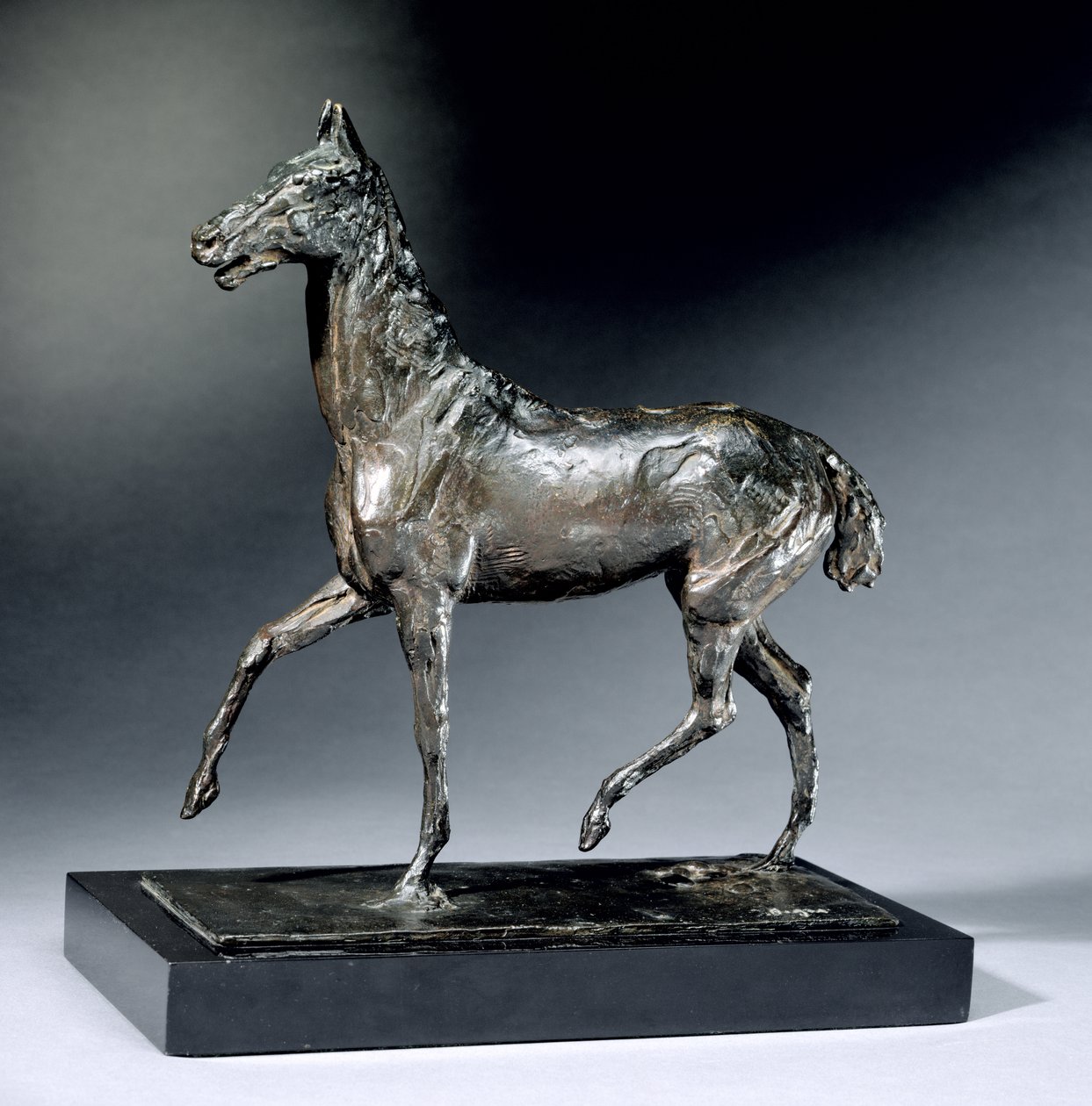 Paça Atı (bronz) by Edgar Degas