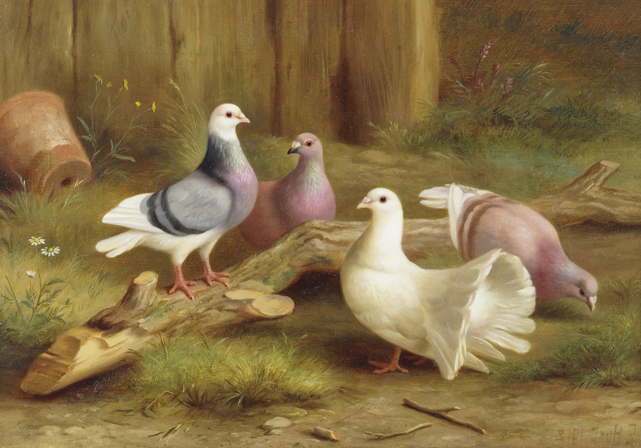  by Edgar Hunt