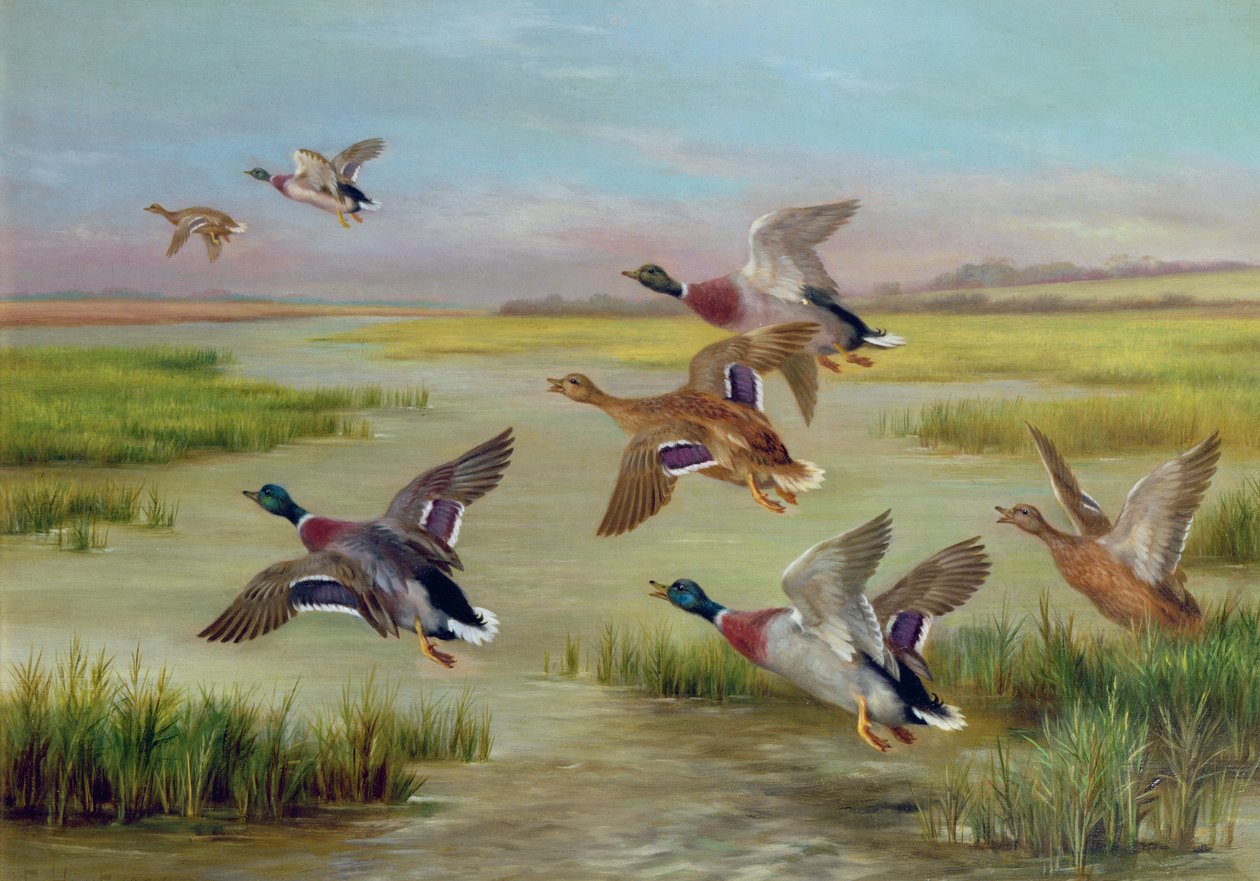  by Edgar Hunt