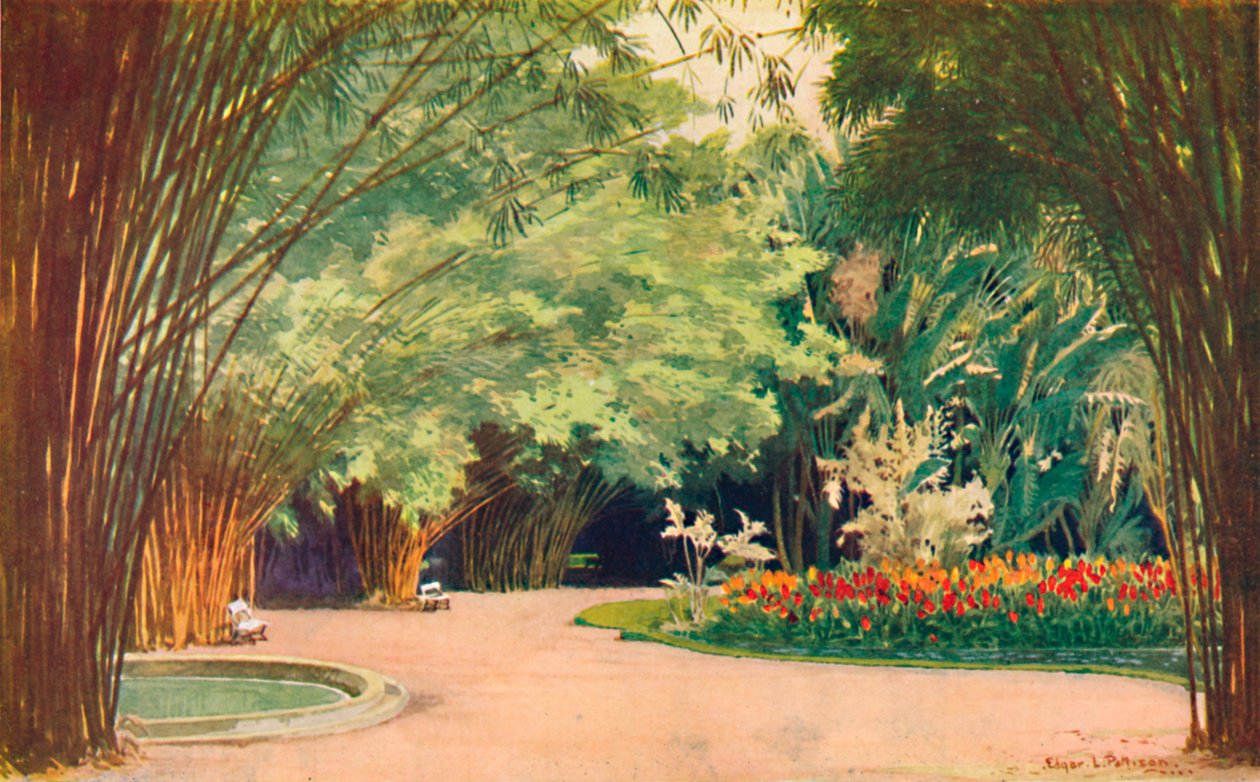 Bambu Korusu - Botanik Bahçeleri, 1914 by Edgar L. Pattison