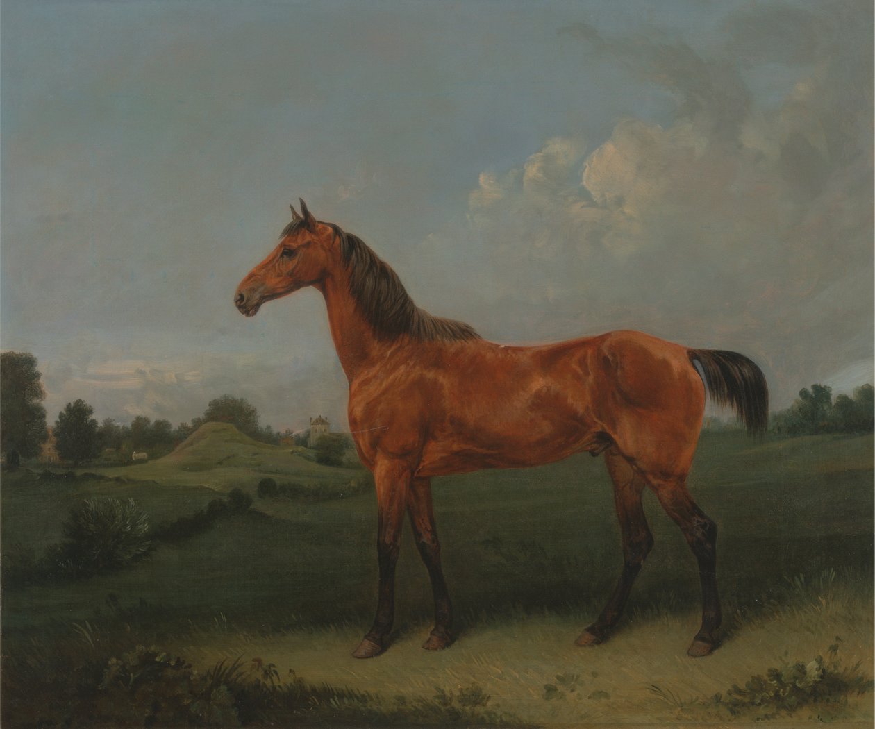 Bir Alanda Bir Defne Atı by Edmund Bristow