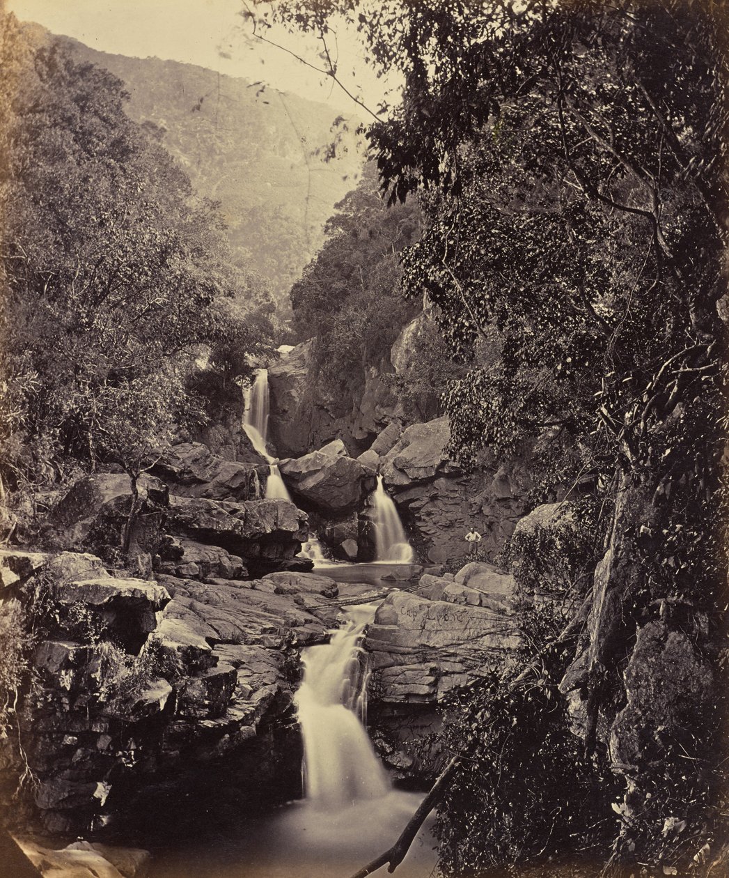  by Edmund David Lyon