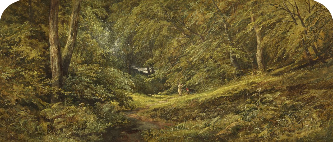 Sketch - In the Woods (oil on canvas) by Edmund G. Muller