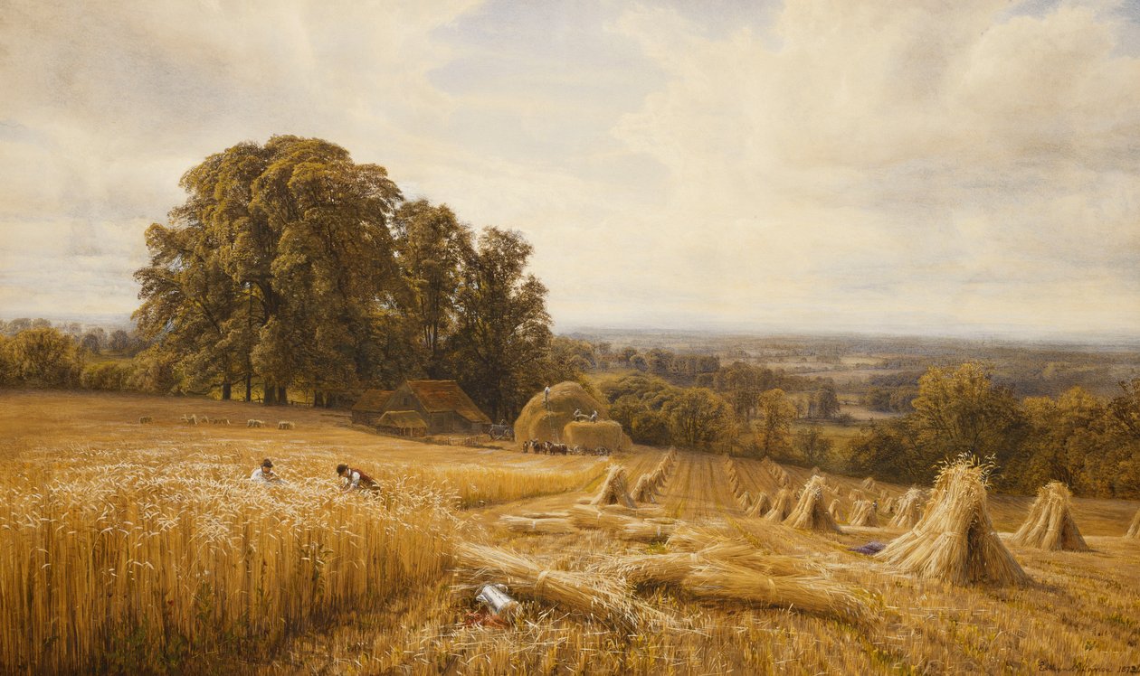Biçerdöverlerle Geniş Bir Manzara, 1873 by Edmund George Warren