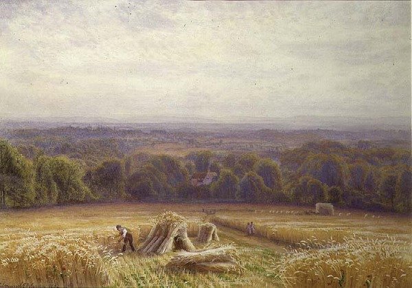 hasat by Edmund George Warren