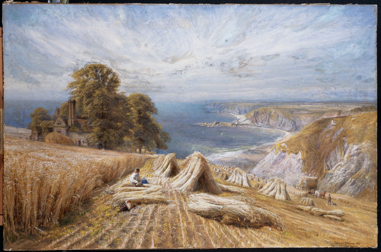 Güney Sahilinde Hasat, 1869 by Edmund George Warren