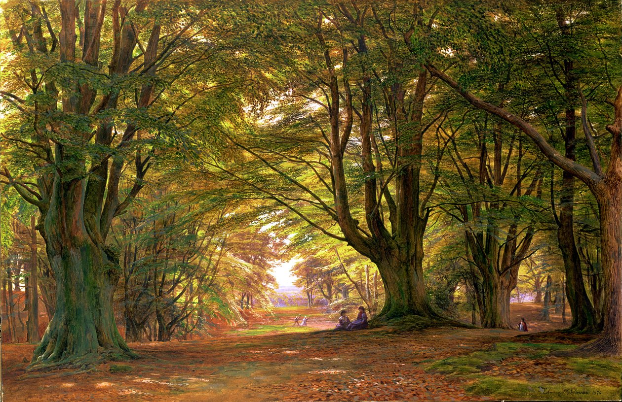 Kayın ağacında oynamak, 1876 (wc) by Edmund George Warren
