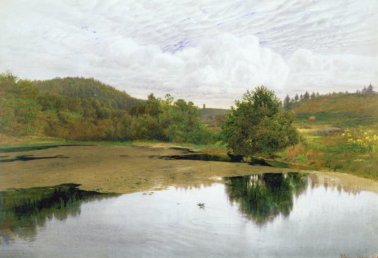 The Pool, 1860 (kağıt üzerine wc & kalem ve mürekkep) by Edmund George Warren