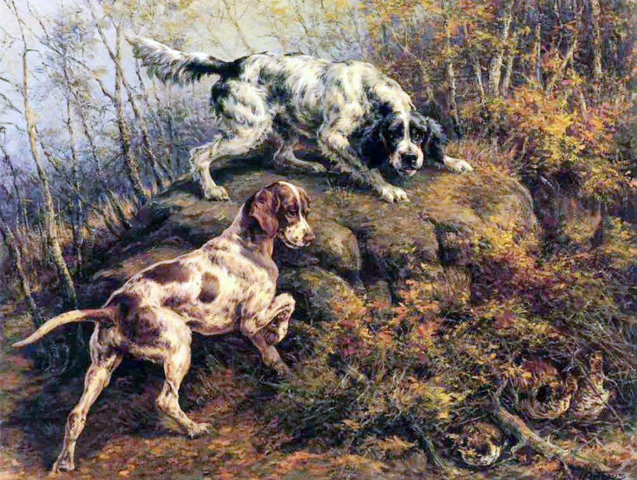 İşaretçi, Ayarlayıcı ve Orman Tavuğu by Edmund Henry Osthaus