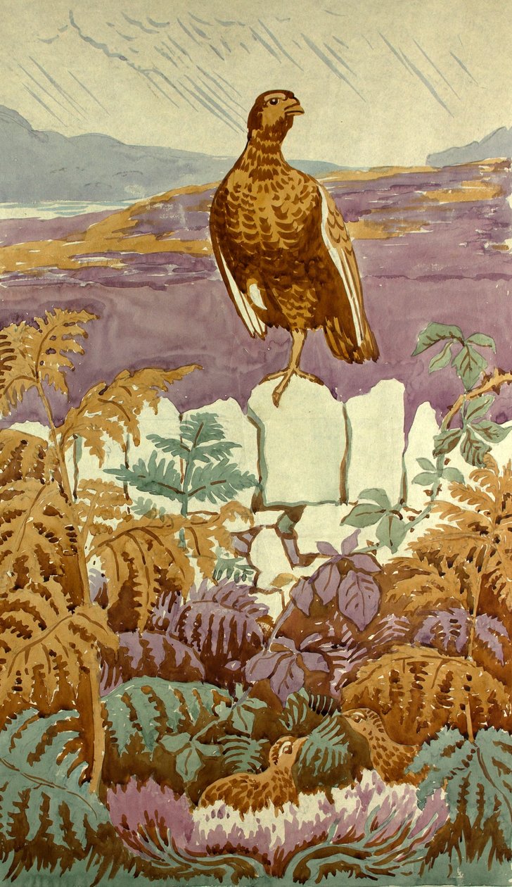 Moor