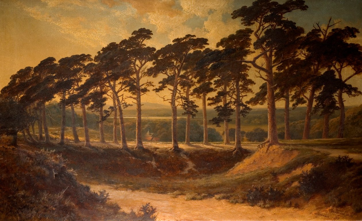 Baştan Tırmık, Hampstead Heath, 1875 by Edmund John Niemann