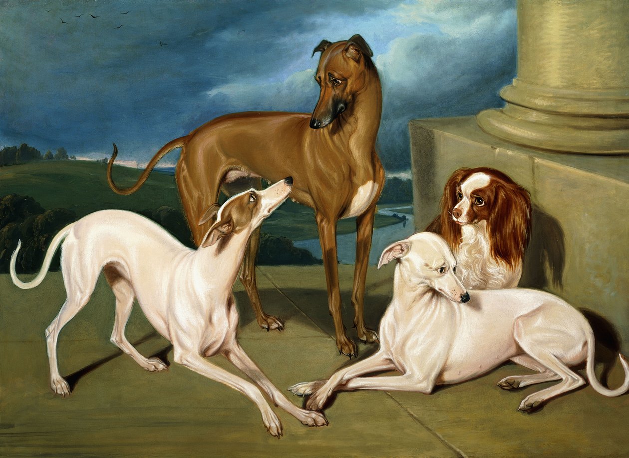 Whippets ve Kral Spaniel, 1837 by Edmund Jr Havell