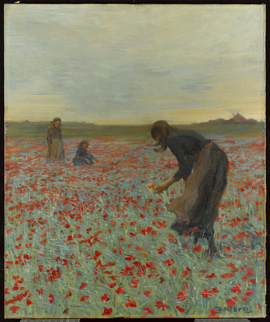 Haşhaş Tarlasındaki Kızlar, 1896 dolayları by Edmund Montague Morris
