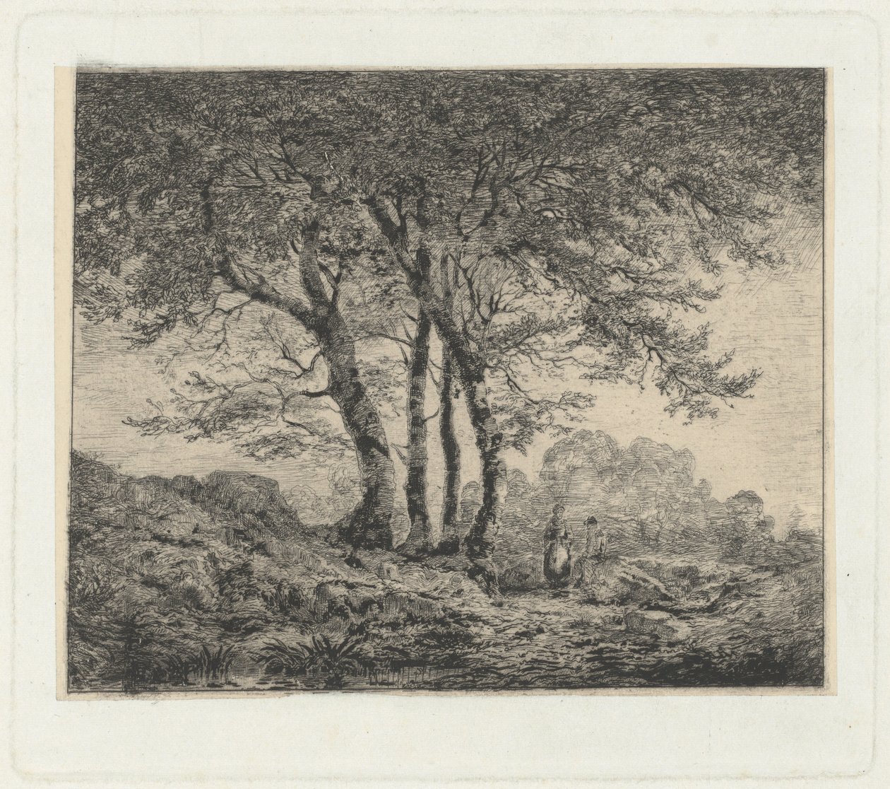 Montagna