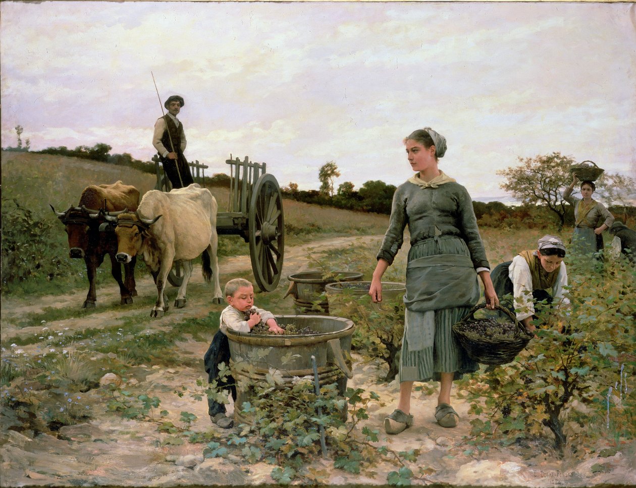 Bir Bağın Köşesi, Languedoc, 1886 by Edouard Debat Ponsan