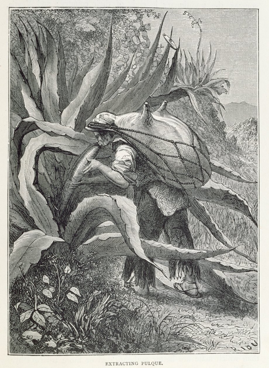Claude-Joseph-Desire Charney
