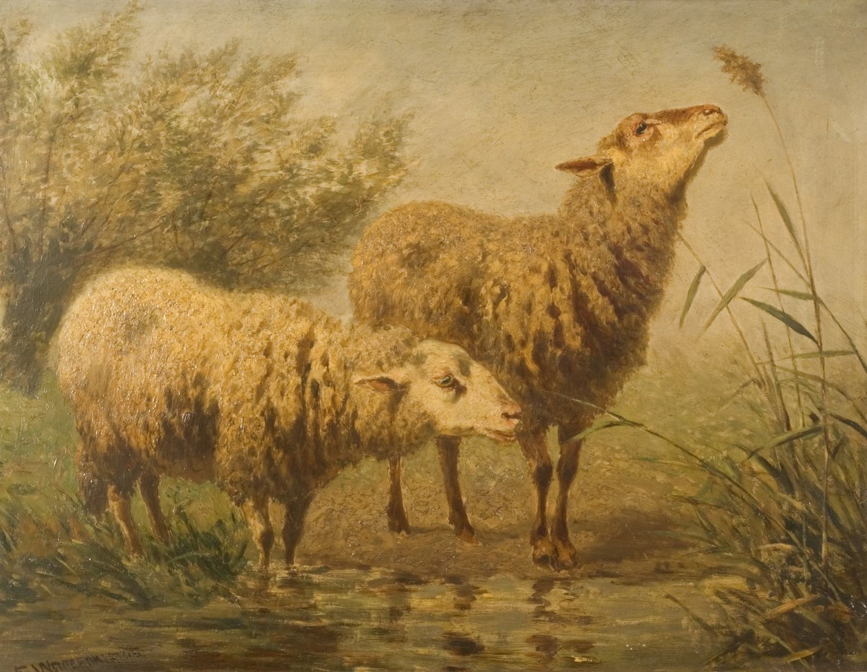 Koyun Çalışması by Edouard Woutermaertens