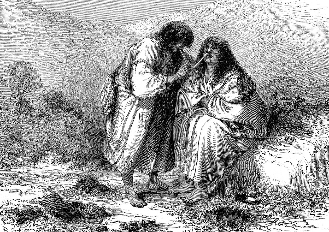 Hint Tütün Tabakları, 1864'te PERU by Edouard (after) Riou