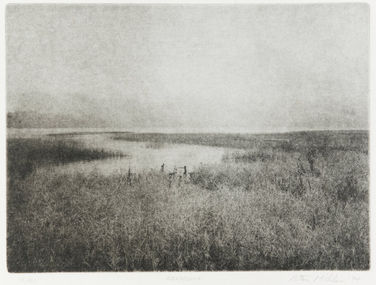 Özenuma, 1994 by Edouard Cremieux