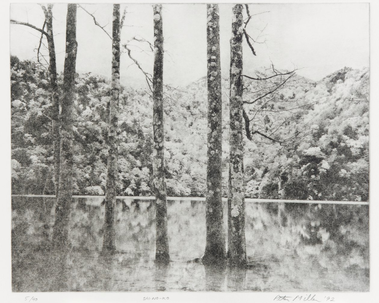 Toki-Noko, 1992 by Edouard Cremieux
