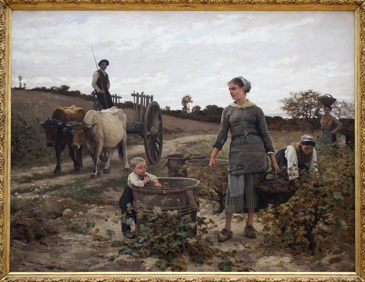 Asma köşesi; Languedoc. Arabada bir adamla kırsal sahne, üzüm toplayan kadınlar ve hasat edilen meyveleri yiyen bir çocuk. Edouard Debat Ponsan (1847-1913) tarafından tablo, Tuval Üzeri Yağlıboya by Edouard Debat Ponsan