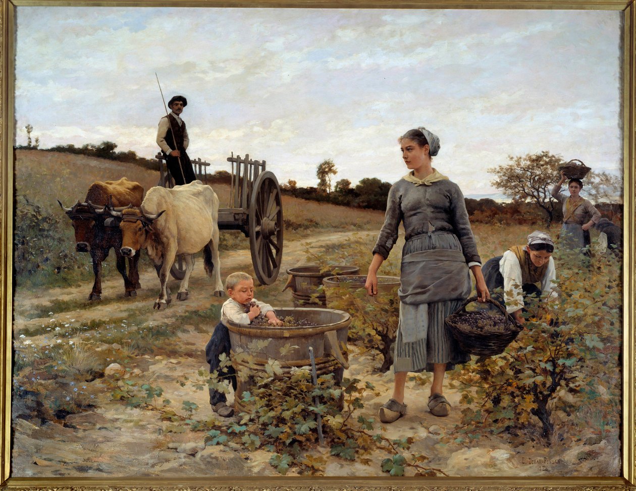 Languedoc