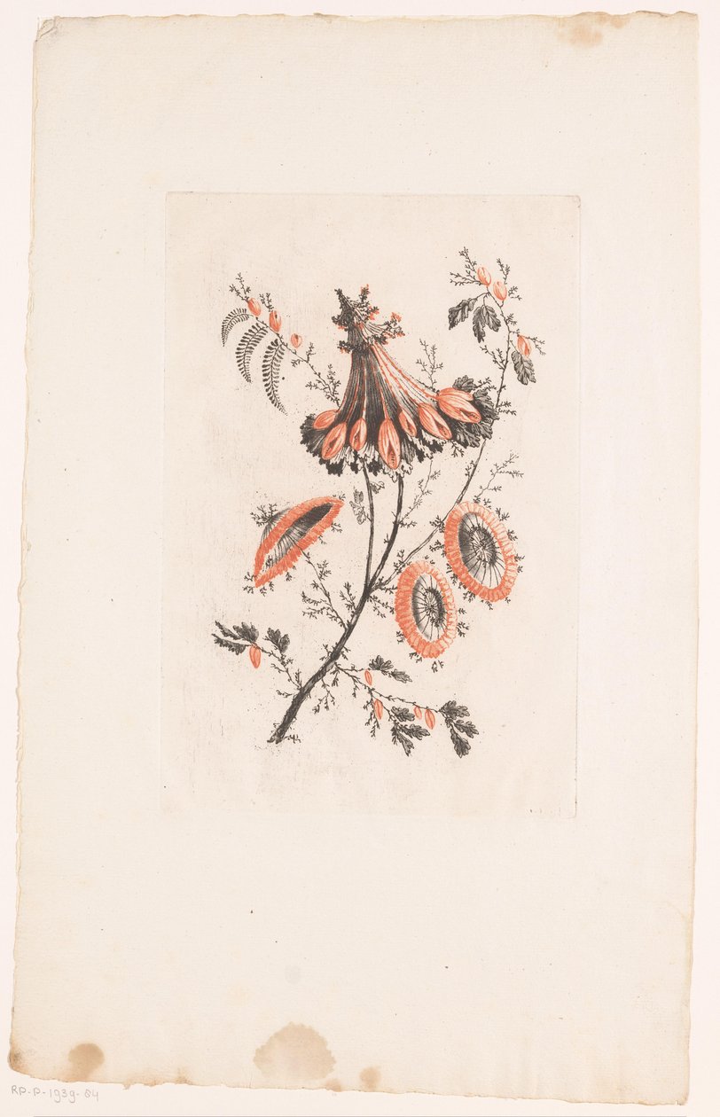 Şemsiye şeklindeki çiçekler Fleurs Idéalle (seri başlığı) by Edouard Gautier Dagoty